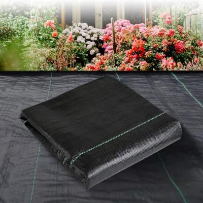 Agriculture PP Woven Weed Control Mat Anti-grass Cloth for Sale