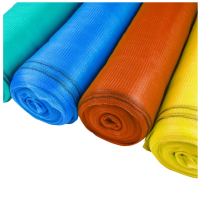 Scaffolding Safety Net