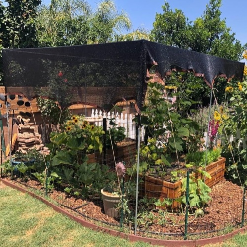 Choosing the Right Shade Net for Different Crops: A Guide to Shading Percentages.
