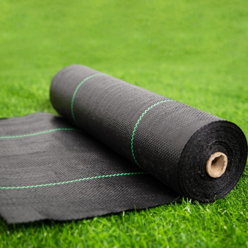 Introduction of Ground Cover