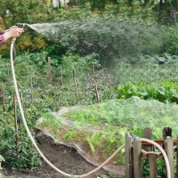 How to Choose the Right Mesh Size for Your Anti-Insect Net?